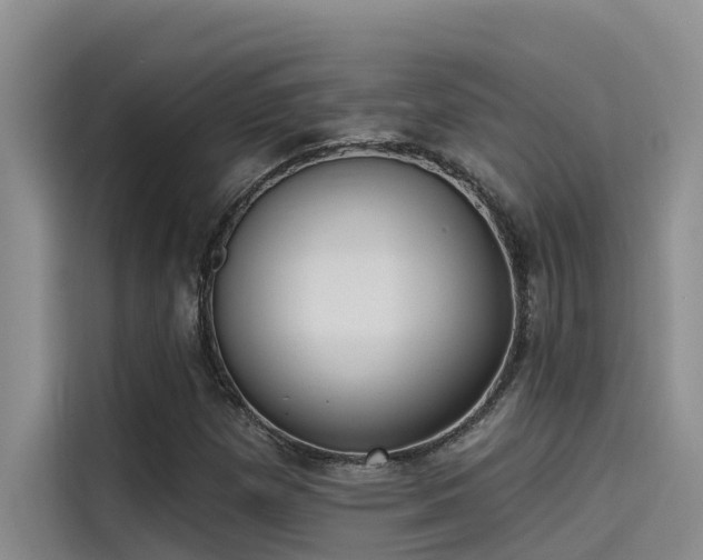 X0000115231257200911061120