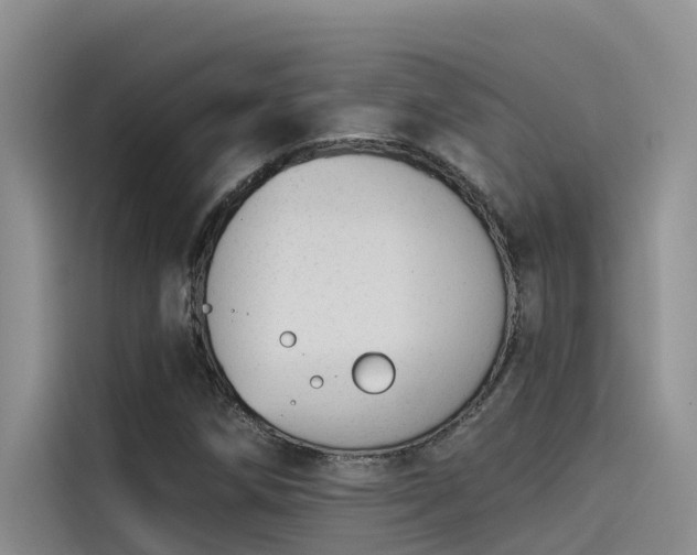 X0000115231258200911061120