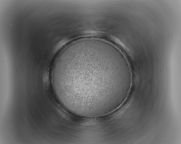 X0000115231259200911061120