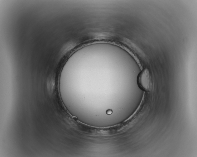 X0000115231261200911061120