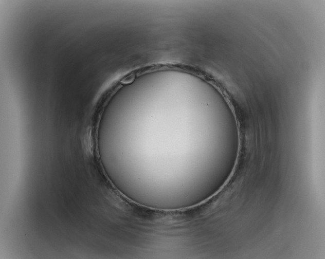 X0000115231262200911061120