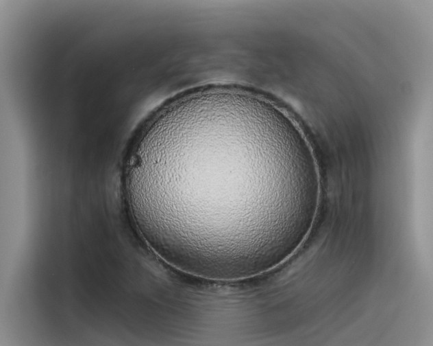 X0000115231263200911061120