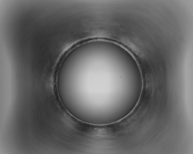 X0000115231264200911061120