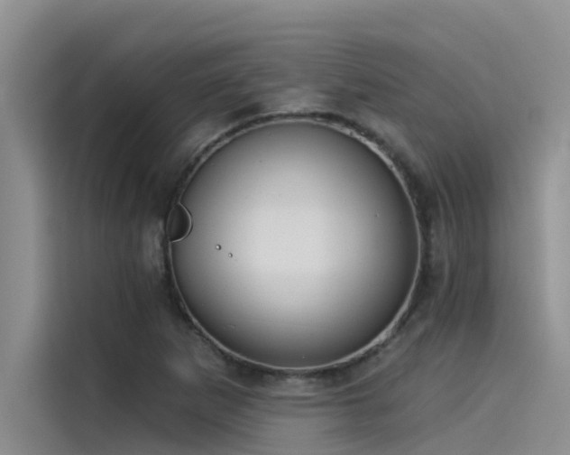 X0000115231265200911061120
