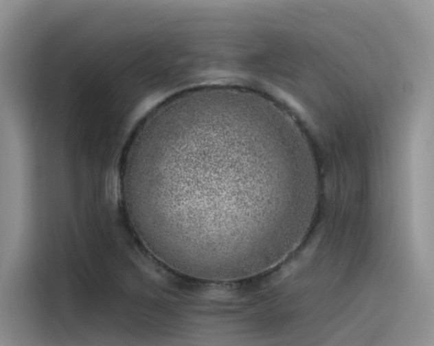 X0000115231267200911061120
