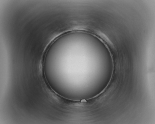 X0000115231268200911061120