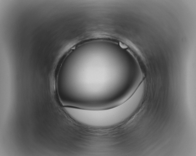 X0000115231269200911061120