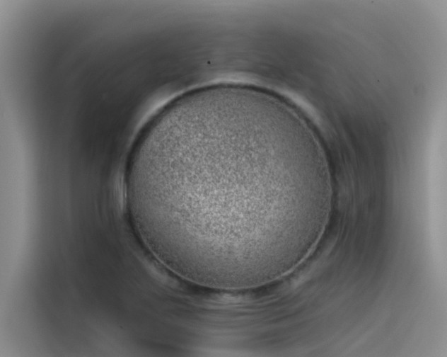X0000115231271200911061120