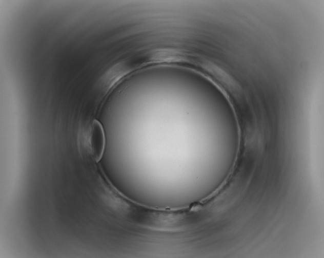 X0000115231273200911061120