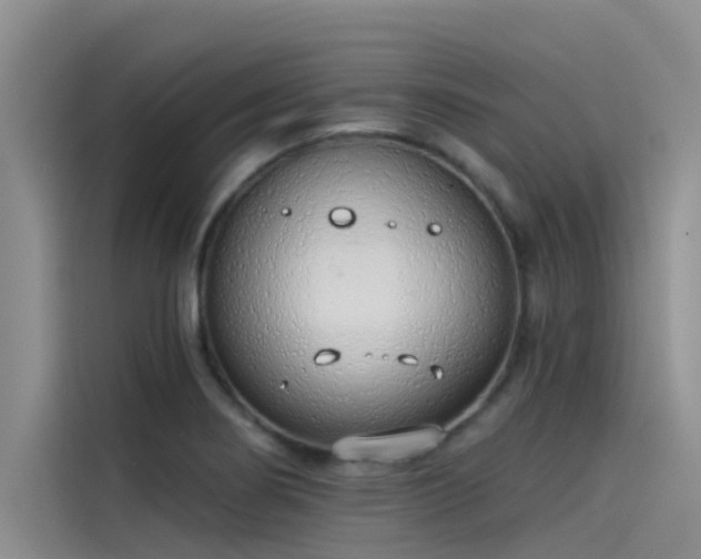 X0000115231274200911061120