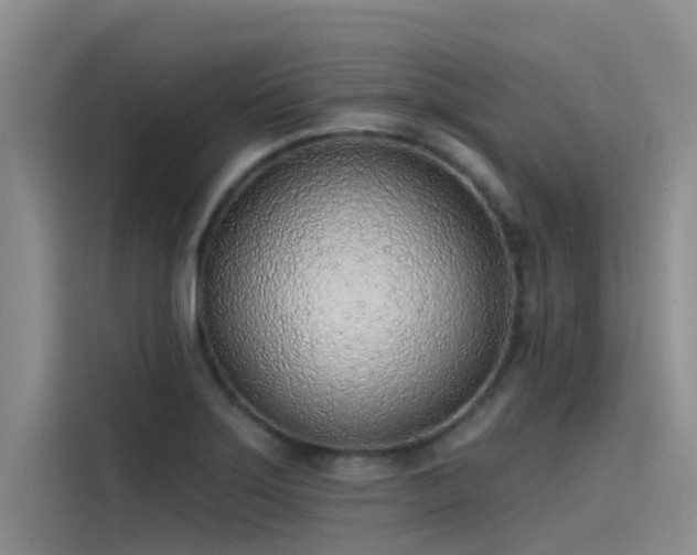 X0000115231275200911061120