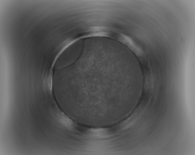 X0000115231276200911061120
