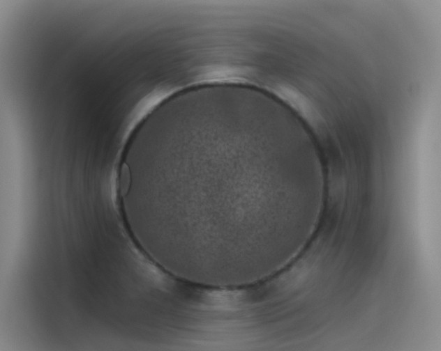 X0000115231277200911061120
