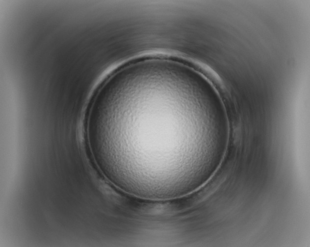 X0000115231279200911061120