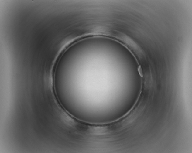 X0000115231280200911061120