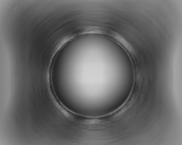 X0000115231282200911061120