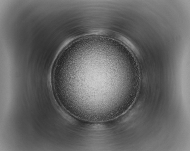 X0000115231283200911061120