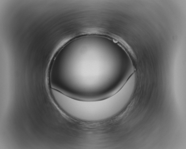X0000115231285200911061120