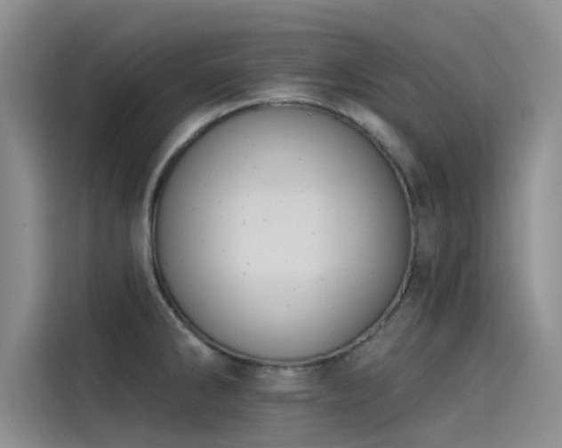 X0000115231286200911061120