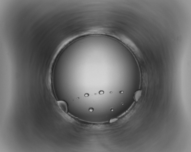 X0000115231288200911061120
