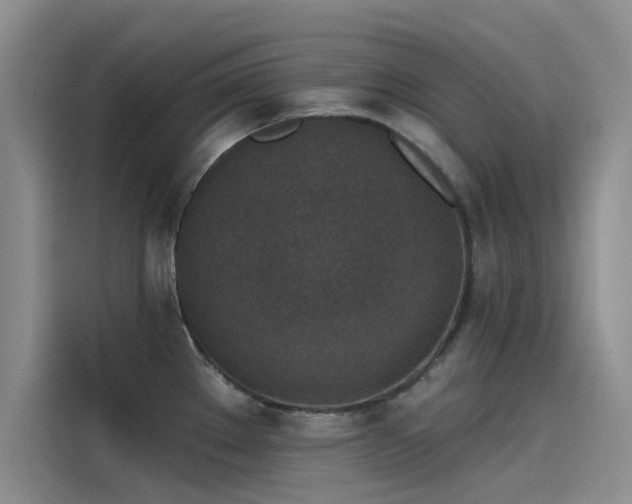 X0000115231289200911061120
