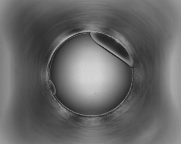 X0000115231292200911061120