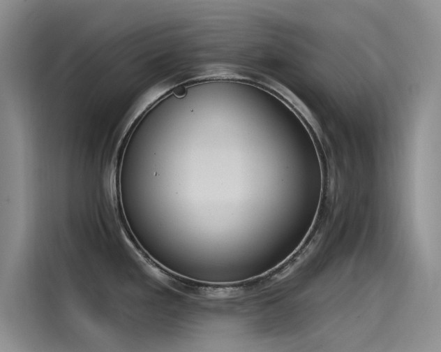 X0000115231293200911061120