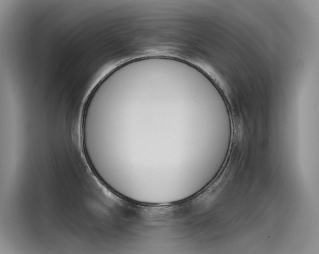 X0000115231294200911061120