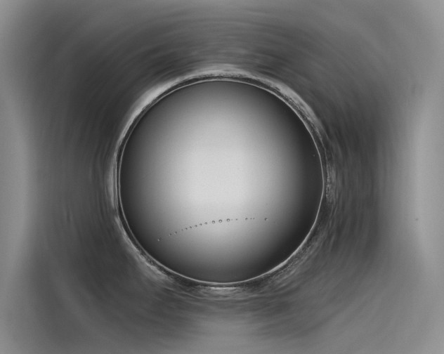 X0000115231295200911061120