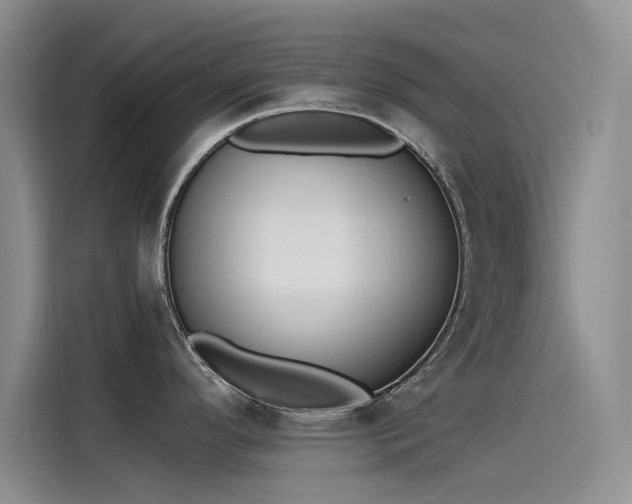 X0000115231296200911061120