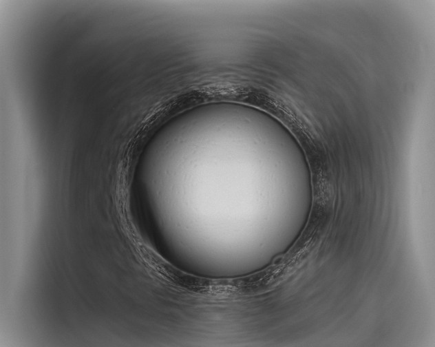 X0000115231297200911061119