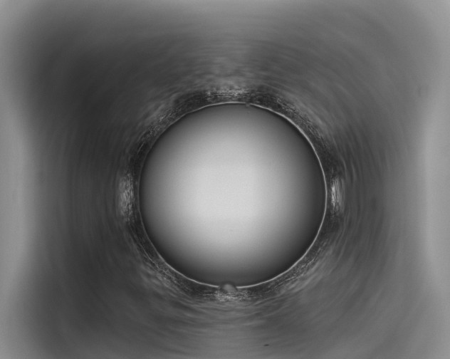 X0000115231299200911061119