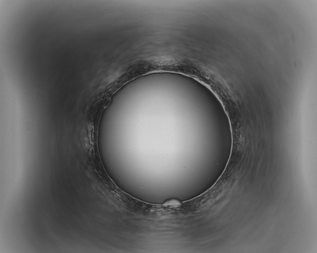 X0000115231301200911061119