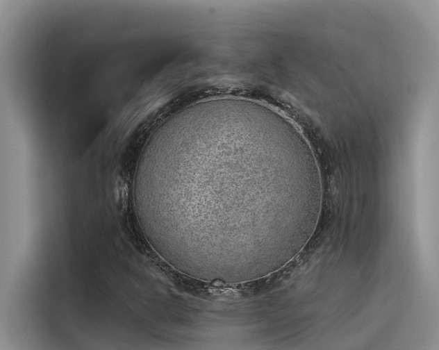 X0000115231302200911061119