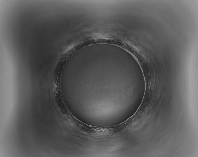 X0000115231303200911061119