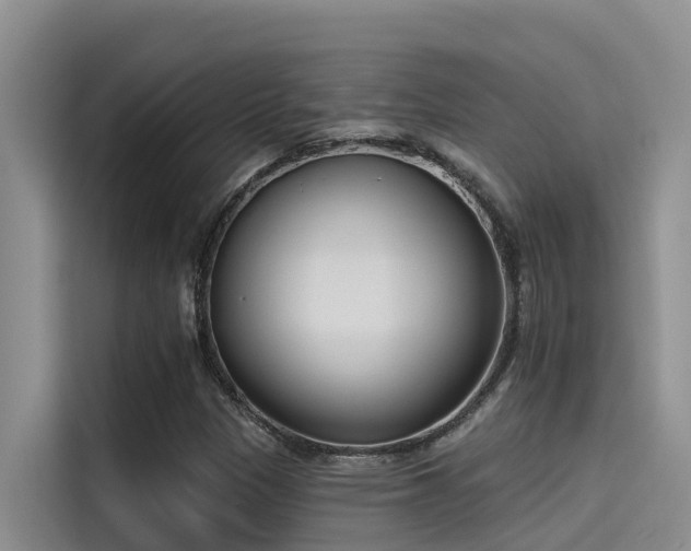 X0000115231305200911061119