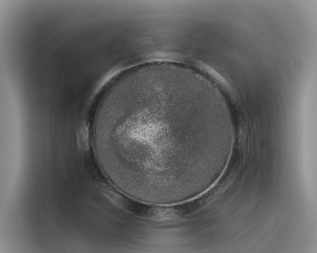 X0000115231310200911061119