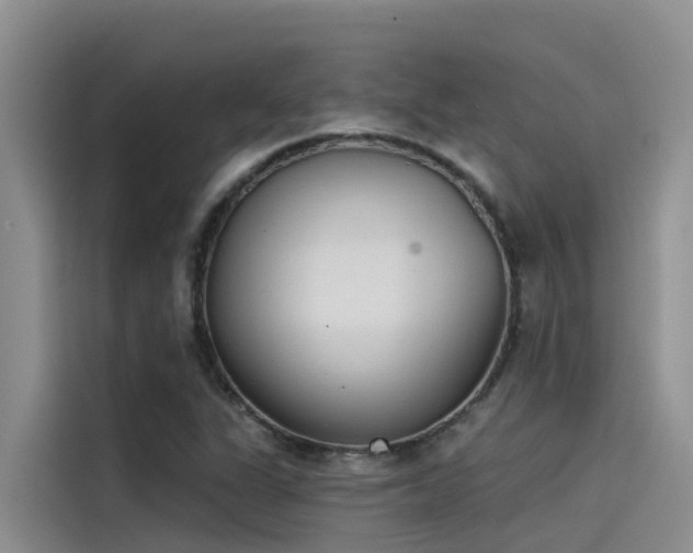 X0000115231311200911061119