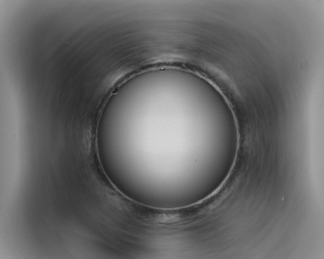 X0000115231313200911061119