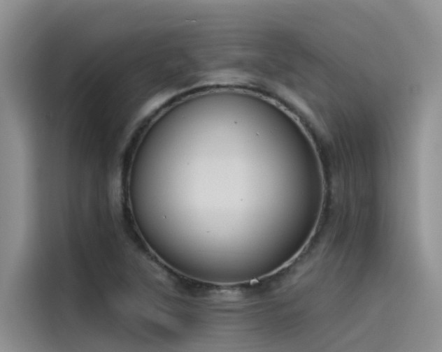 X0000115231315200911061119