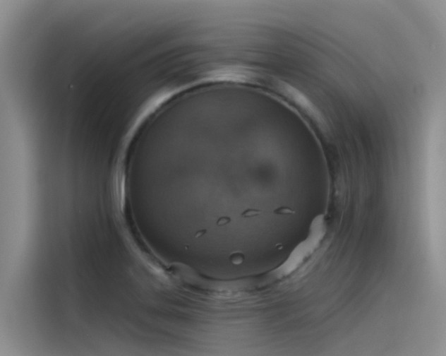X0000115231323200911061119