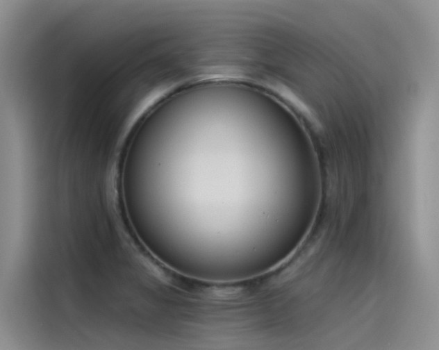 X0000115231325200911061119