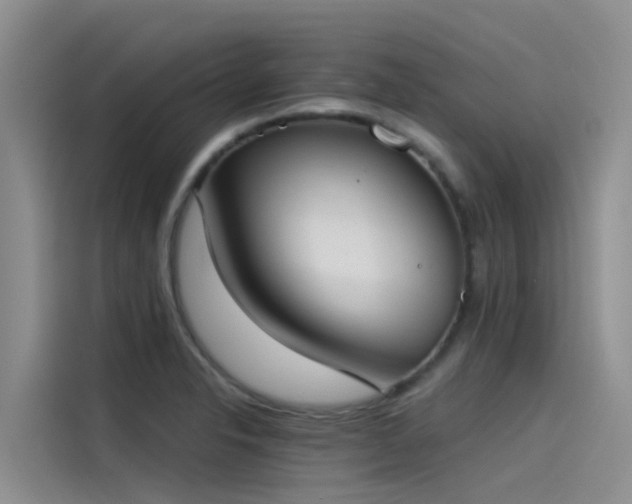 X0000115231326200911061119