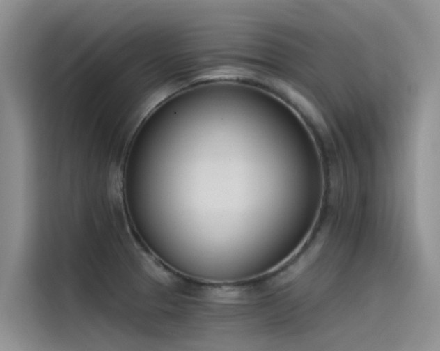 X0000115231329200911061119