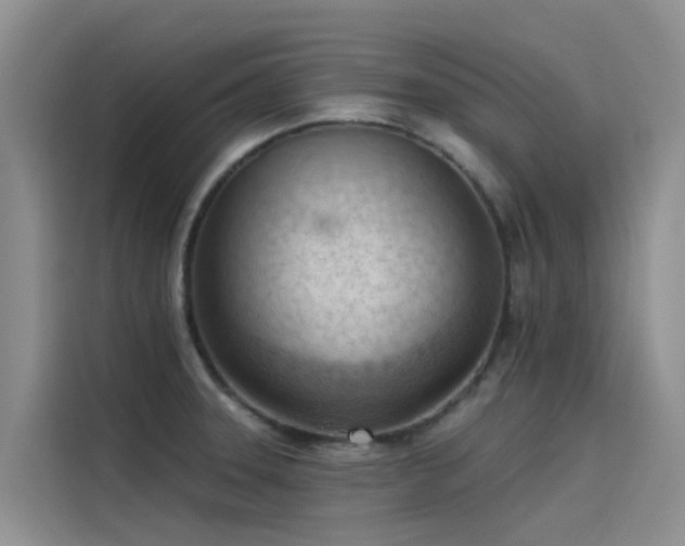 X0000115231331200911061119