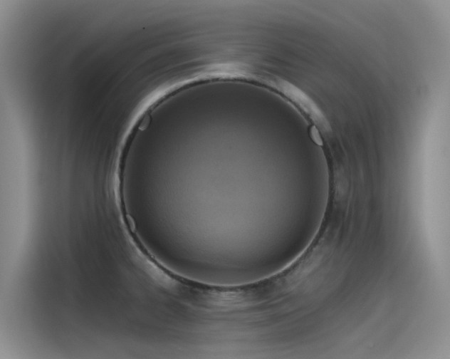 X0000115231334200911061120