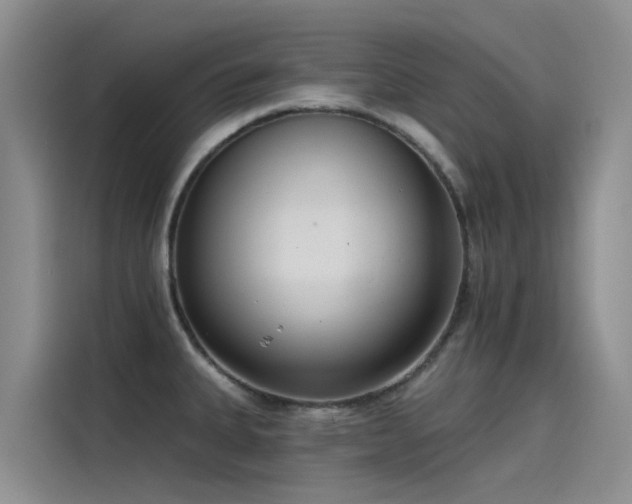 X0000115231335200911061120