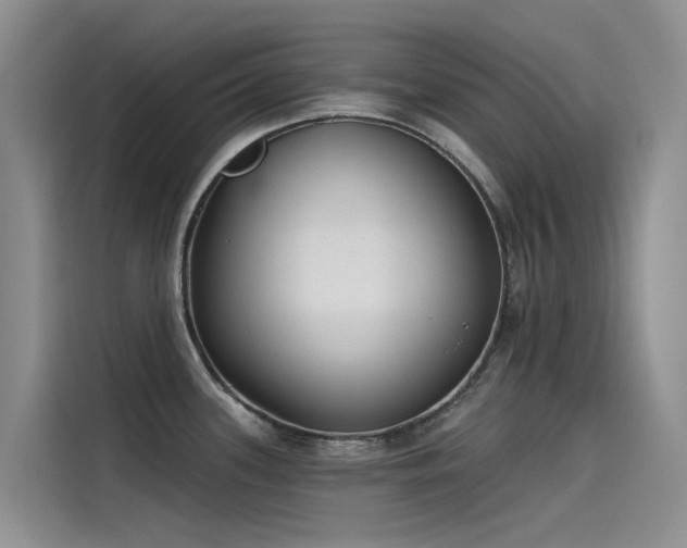 X0000115231339200911061120