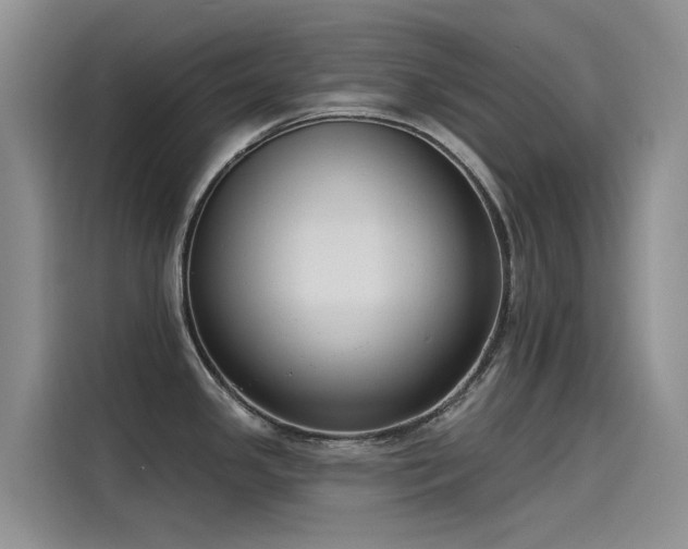 X0000115231341200911061120