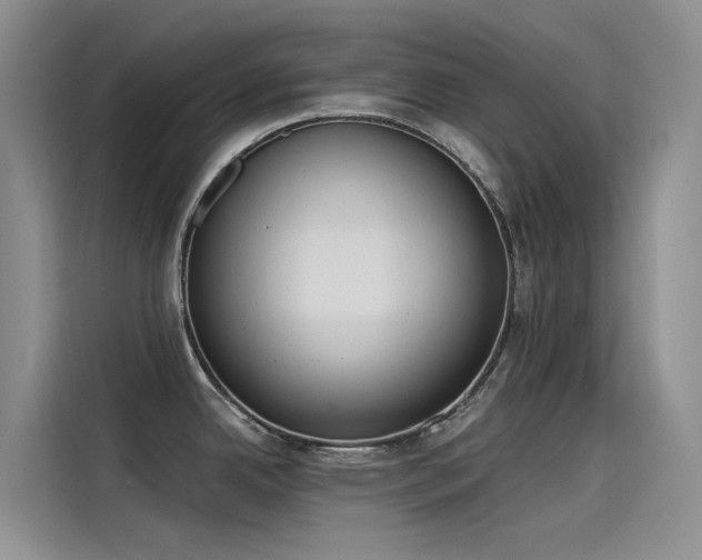 X0000115231342200911061120